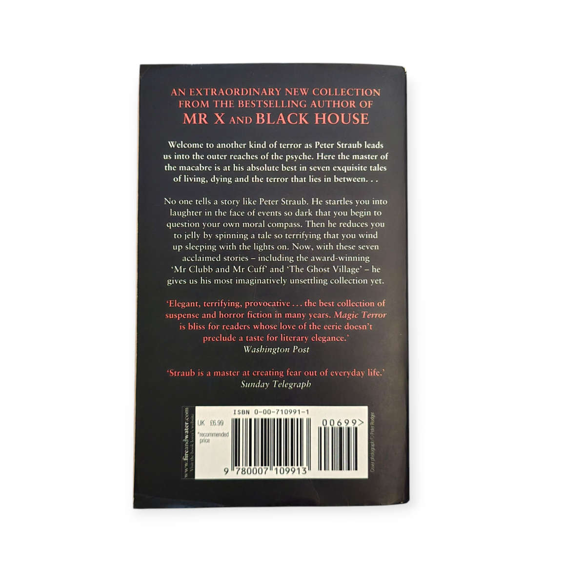 Magic terror - Peter Straub