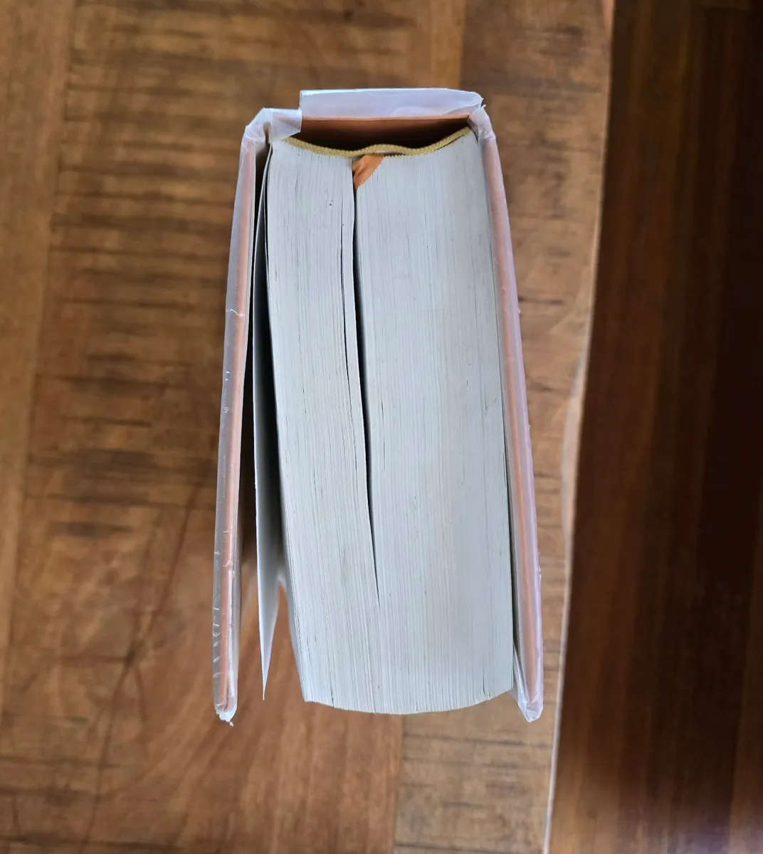 Die Bybellennium - Wil Vosloo, Finalised J Van Rensburg et al.