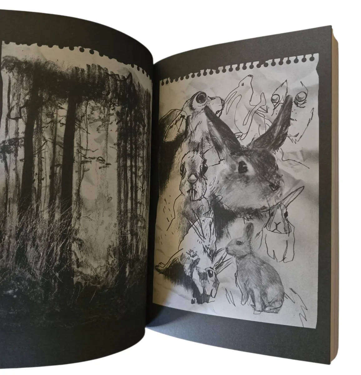 Hidden Pictures - Jason Rekulak