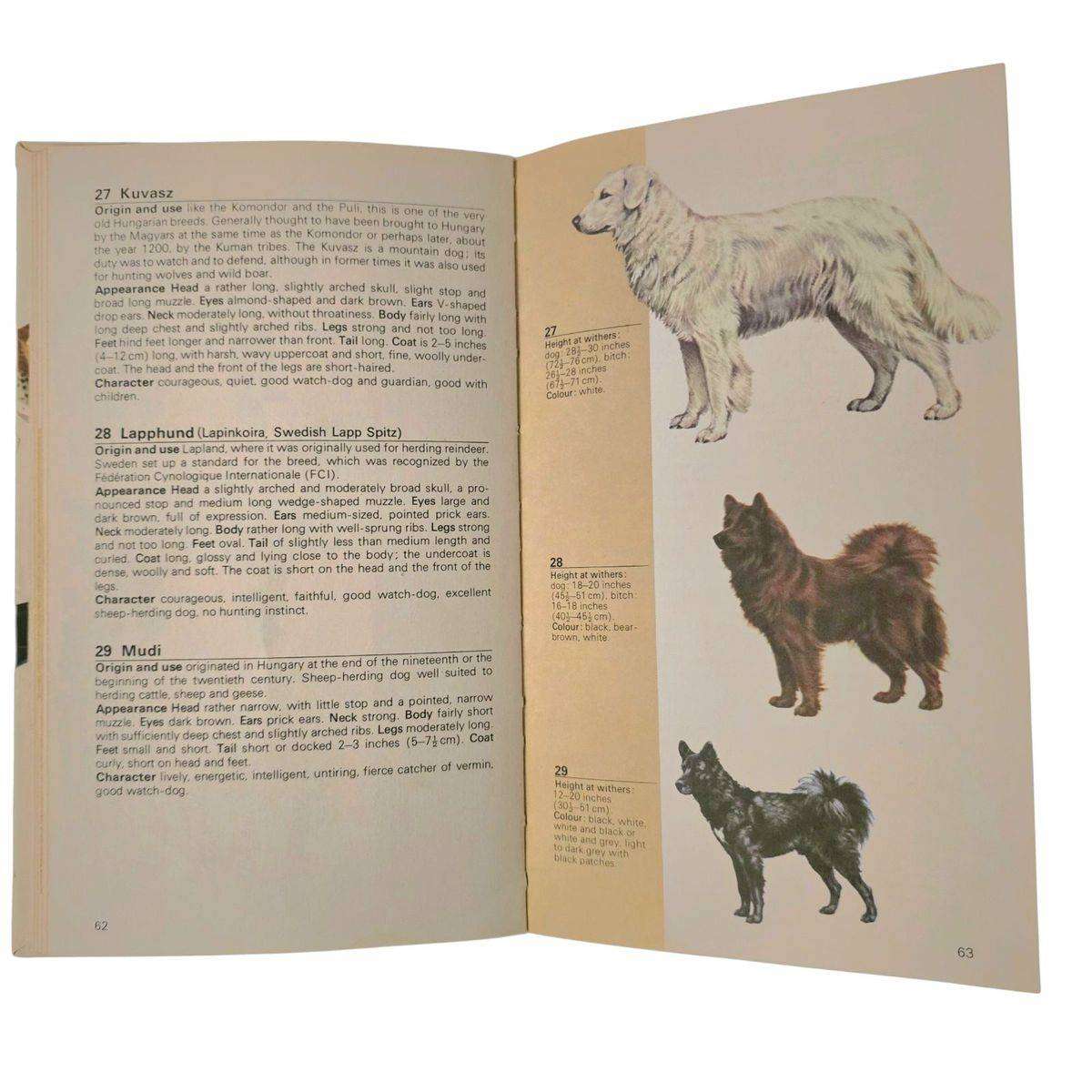 Guide to the dogs of the world - A Gondrexon
