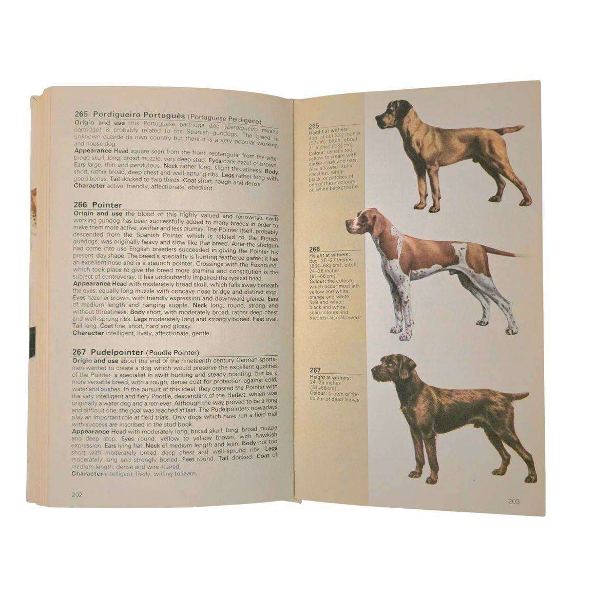 Guide to the dogs of the world - A Gondrexon