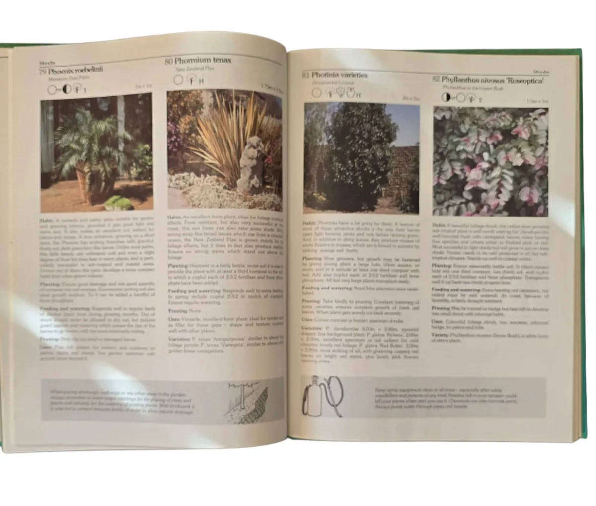 Keith Kirsten's Down to Earth Garden Book