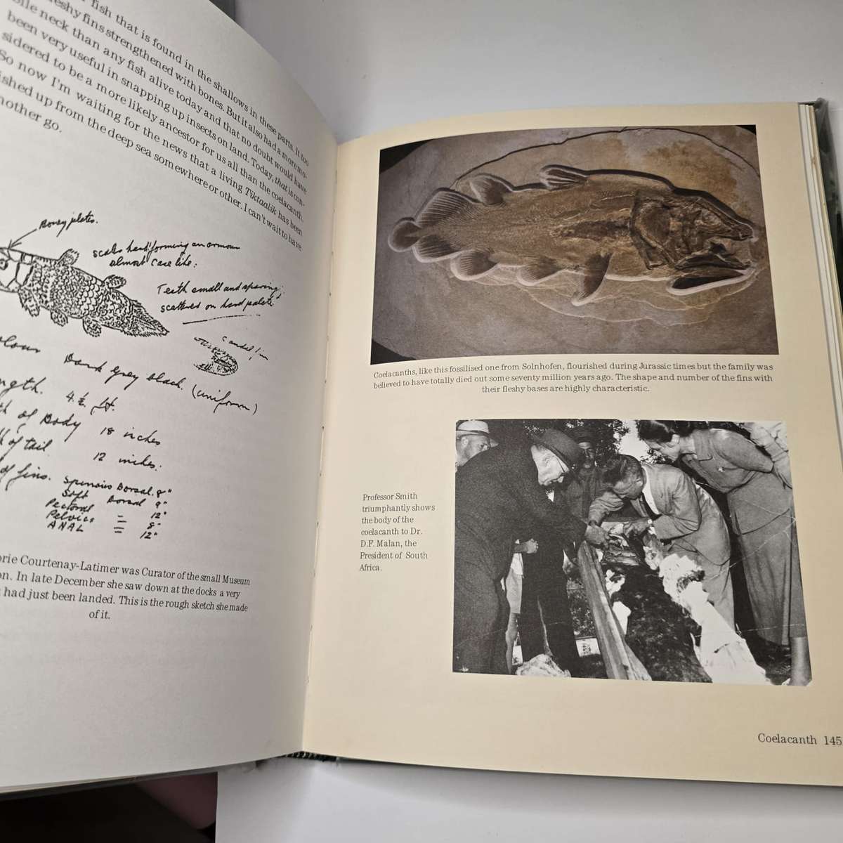 David Attenborough - Life Stories (Pristine hardcover)