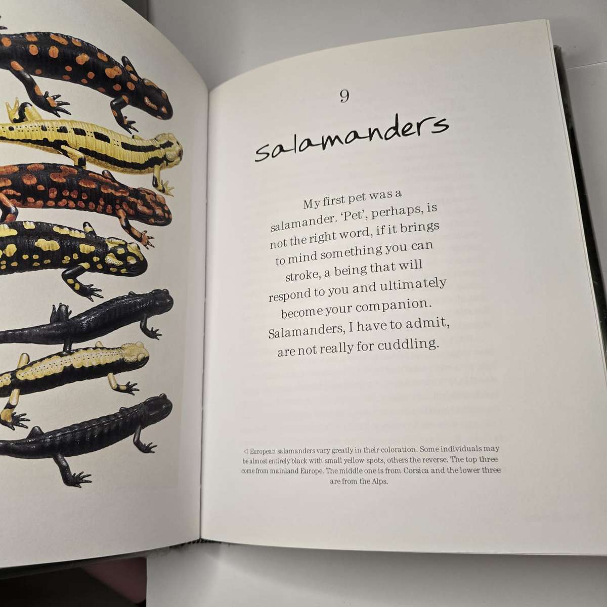 David Attenborough - Life Stories (Pristine hardcover)