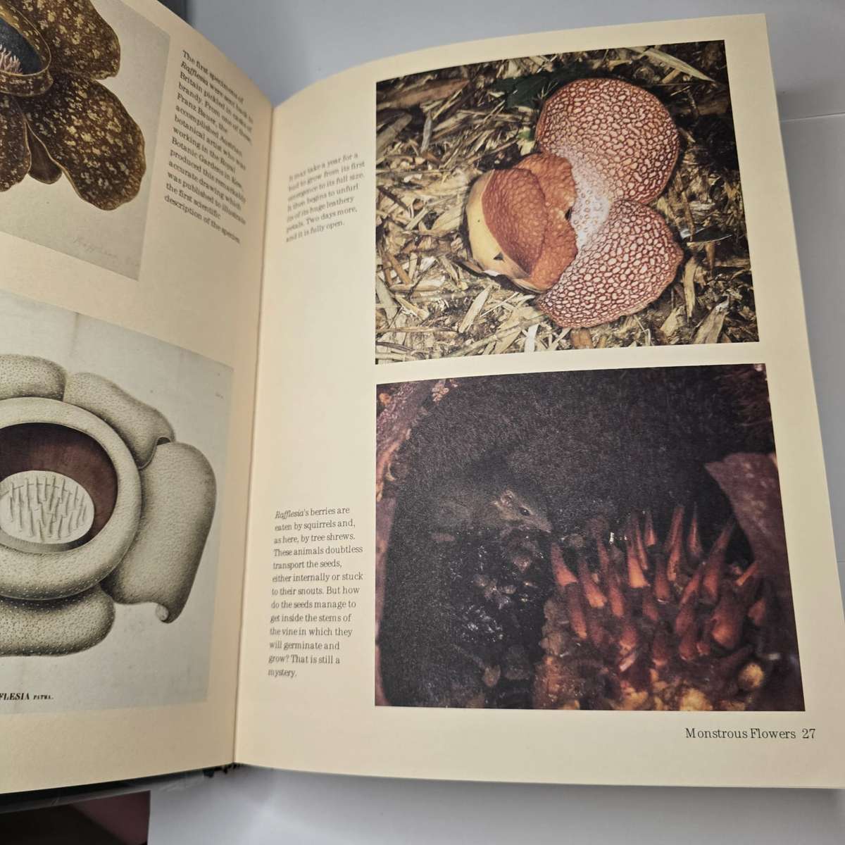 David Attenborough - Life Stories (Pristine hardcover)