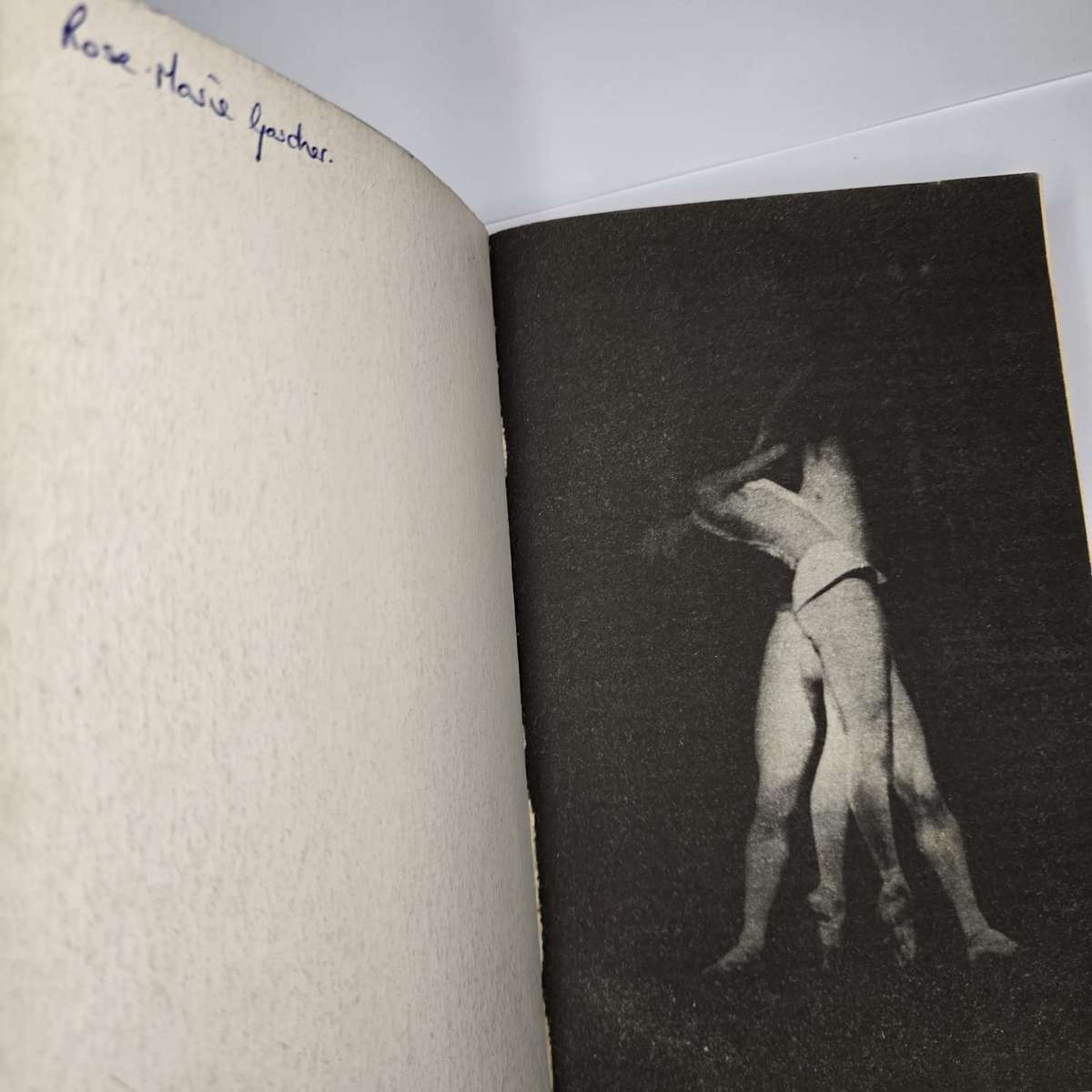 Tales of the Night by Peter Høeg