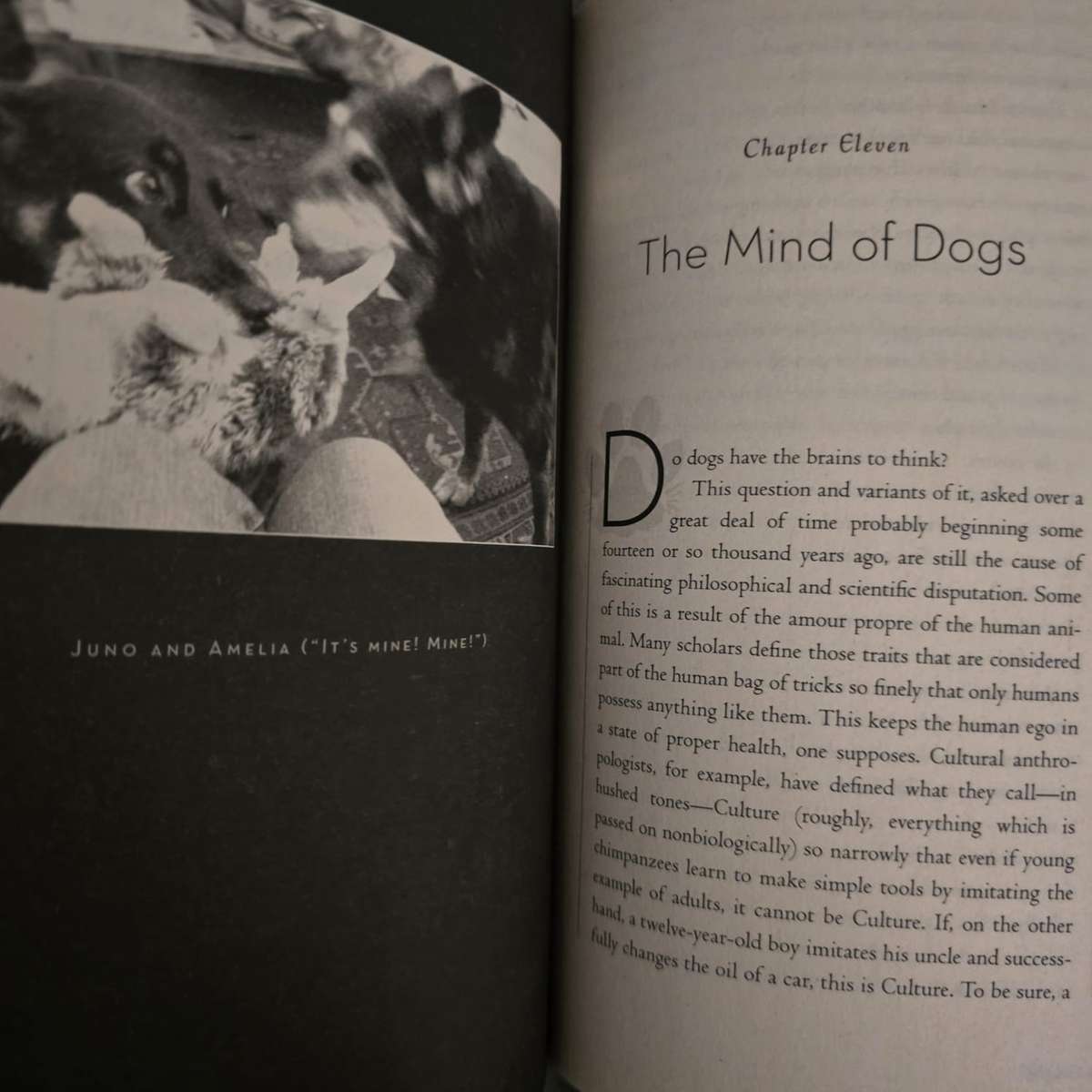 Do Dogs Laugh? - Jake Page