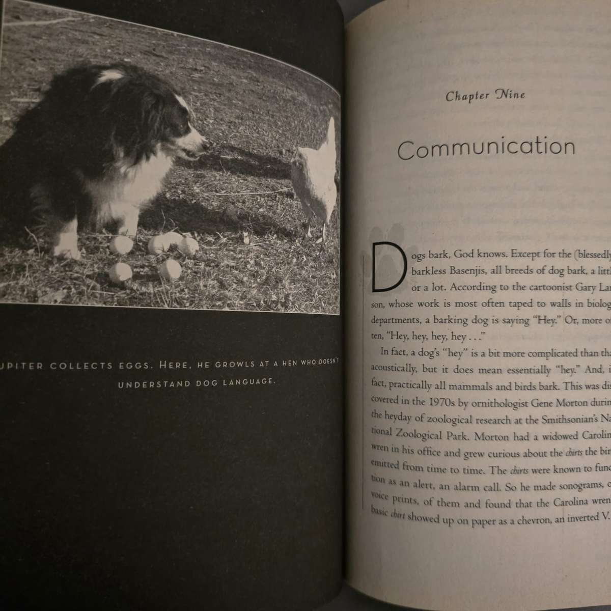 Do Dogs Laugh? - Jake Page