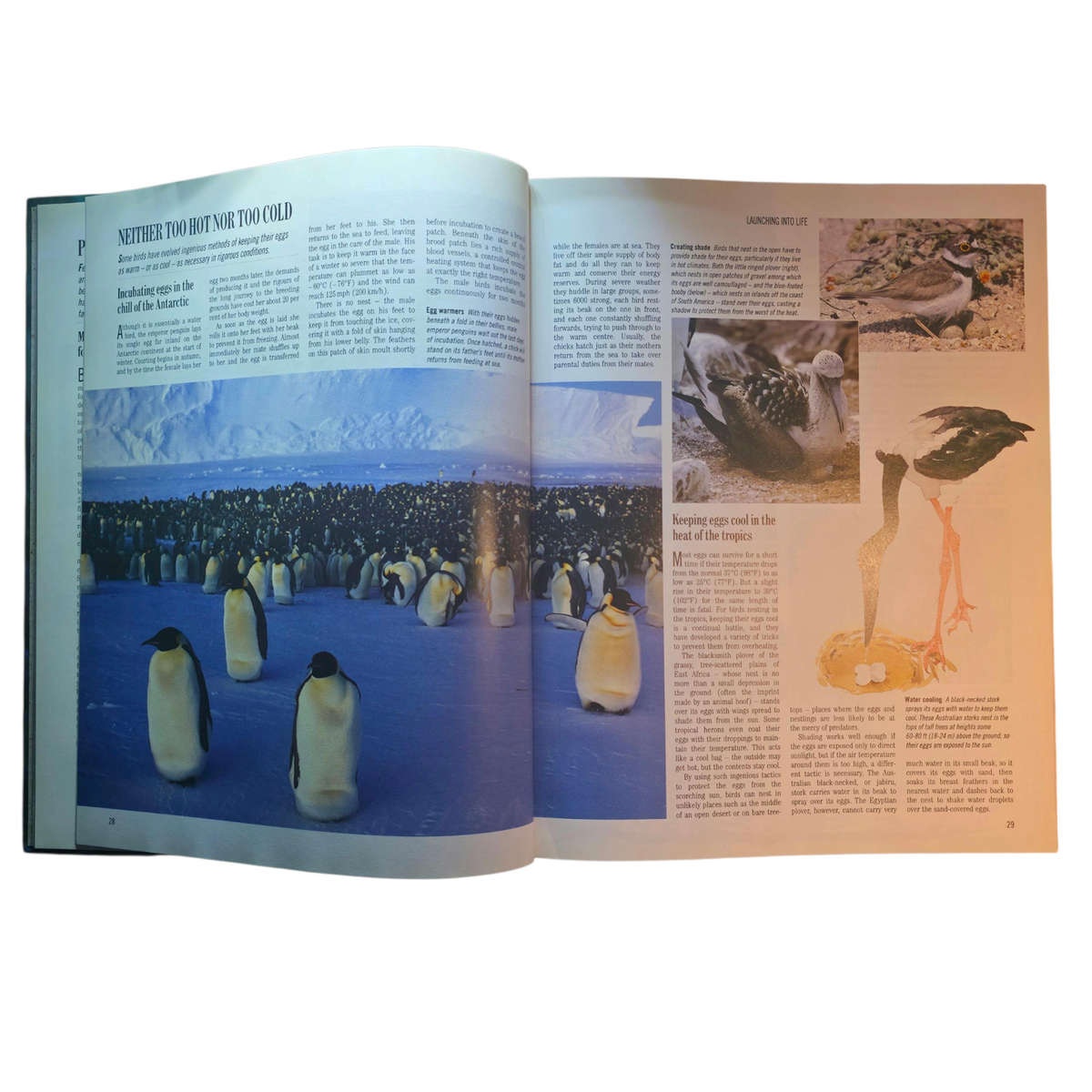 Exploring the Secrets of Nature - Reader's Digest