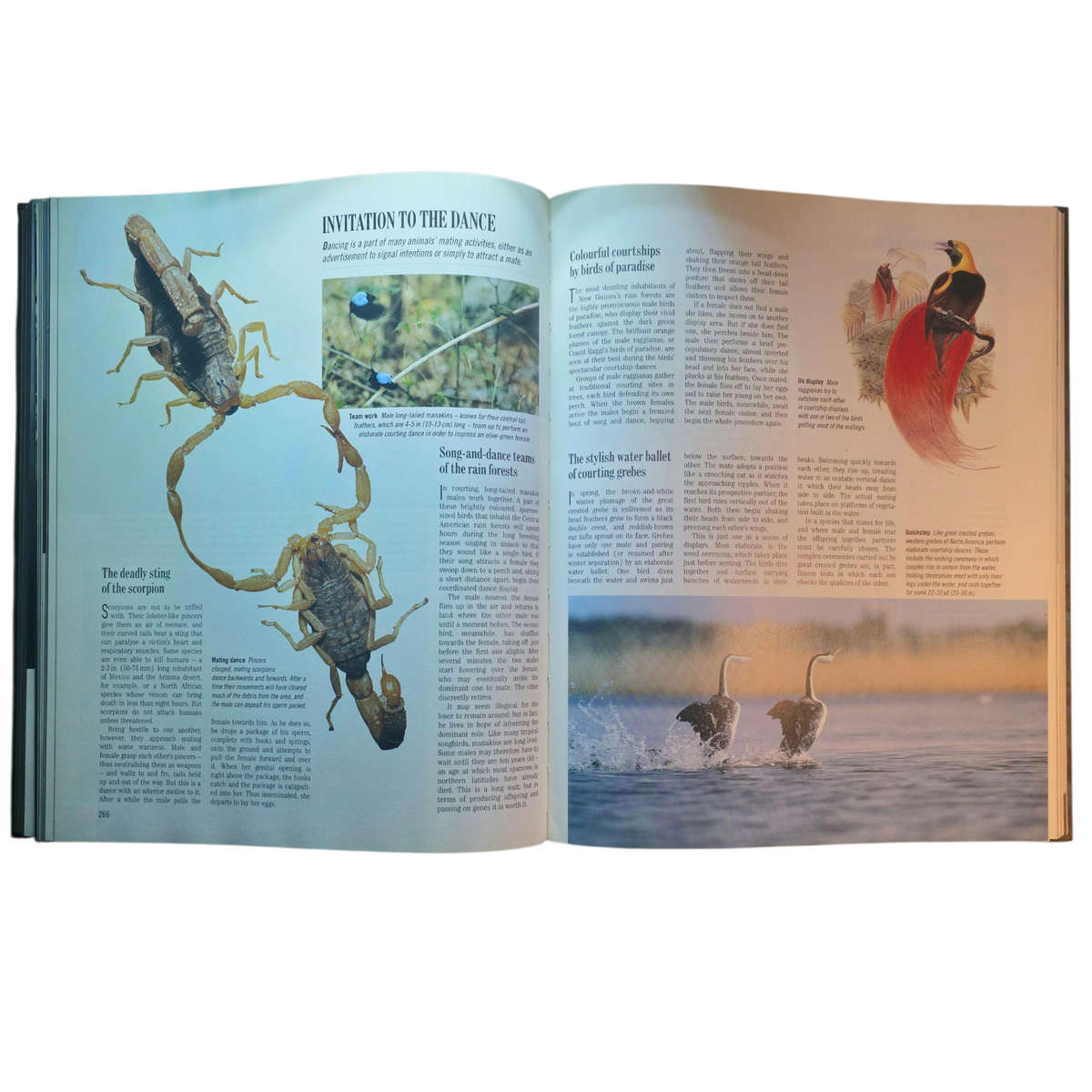 Exploring the Secrets of Nature - Reader's Digest