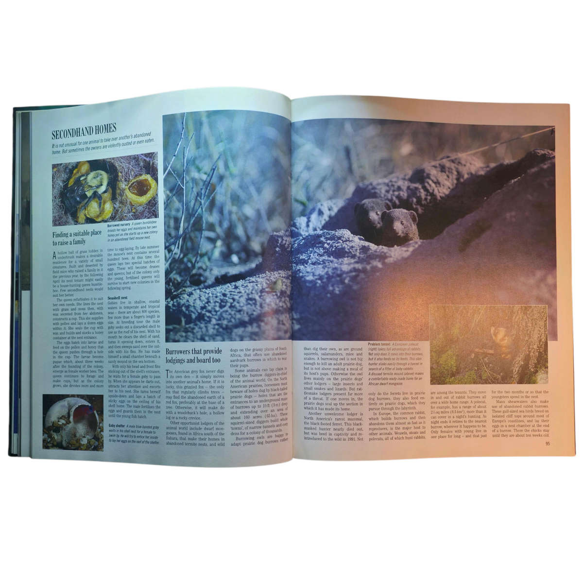 Exploring the Secrets of Nature - Reader's Digest