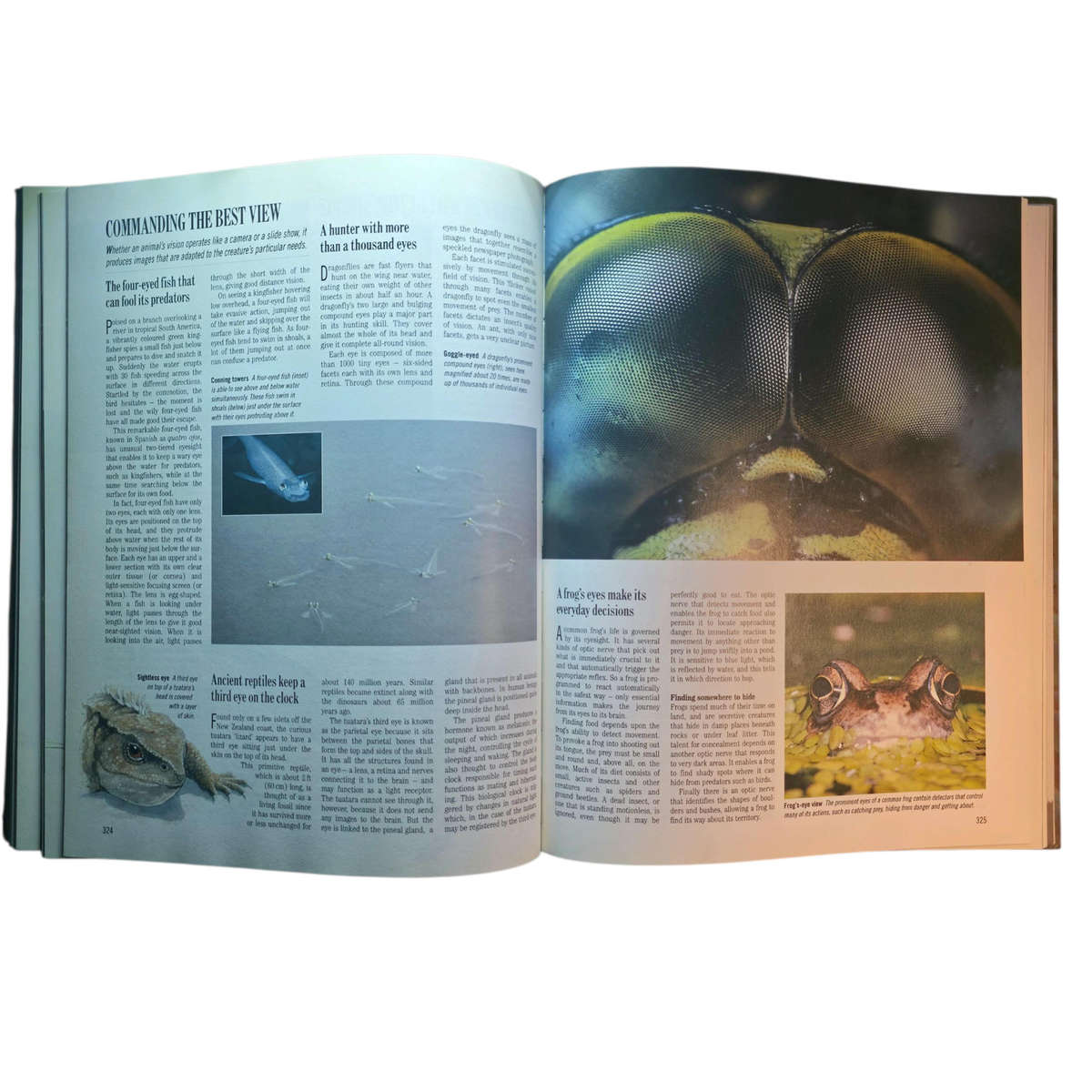 Exploring the Secrets of Nature - Reader's Digest