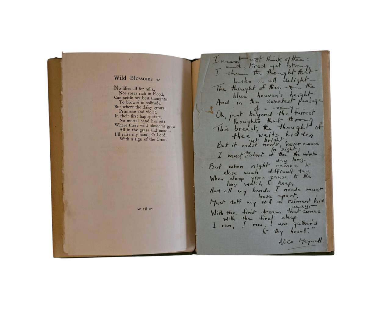 Ambition and Other Poems - WH Davies