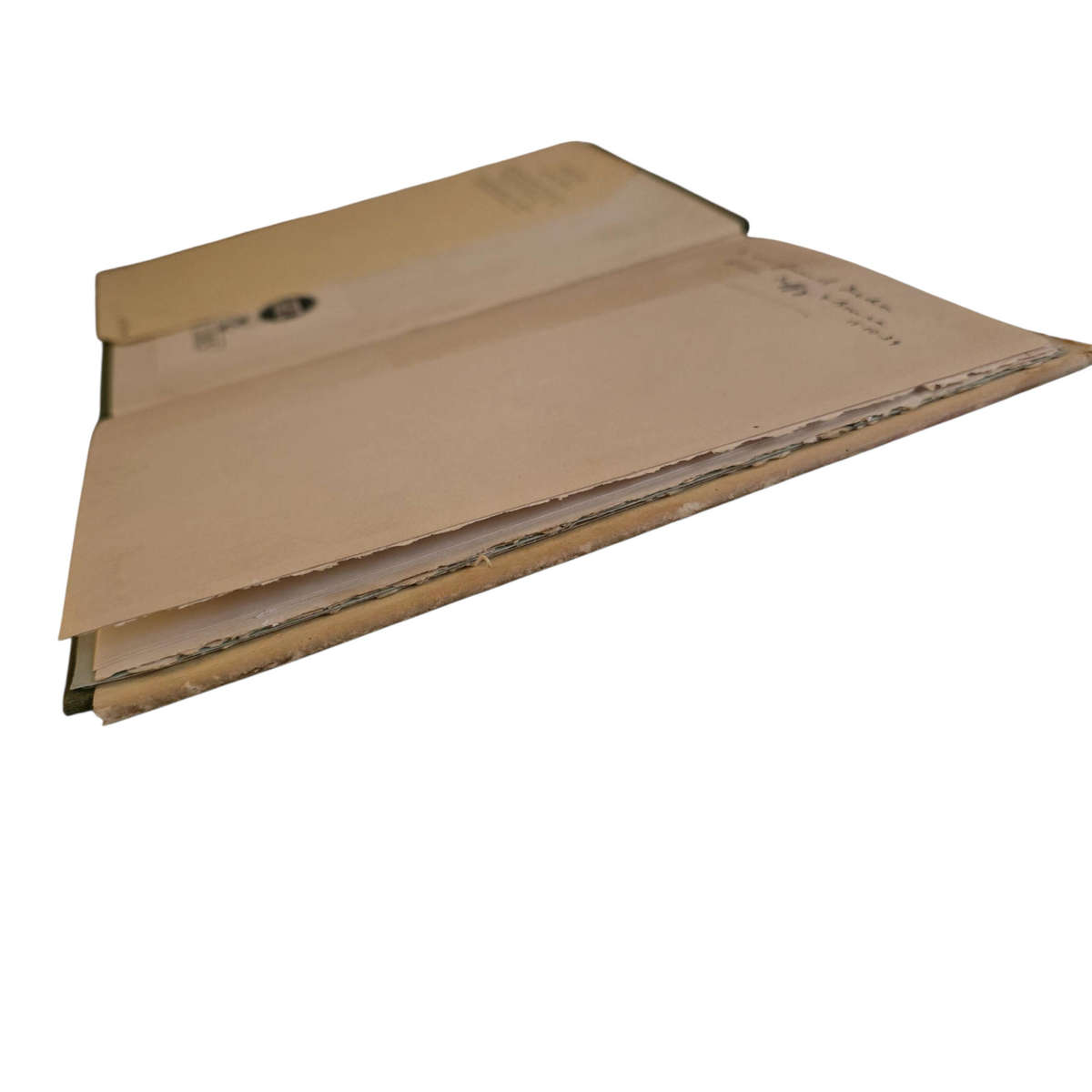 Ambition and Other Poems - WH Davies