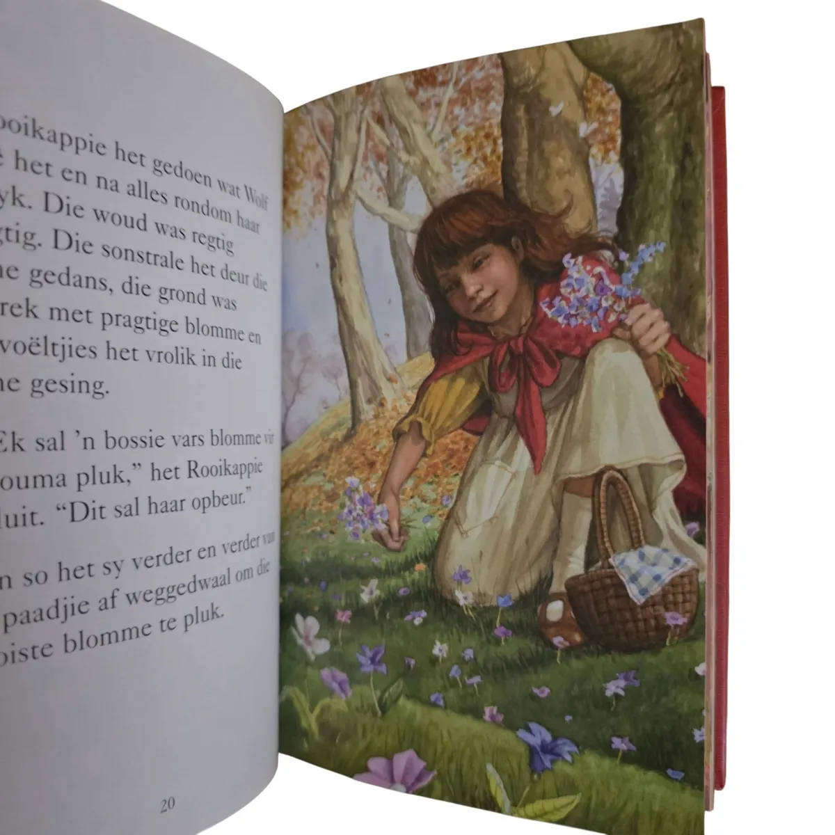 Rooikappie - Ladybird reeks