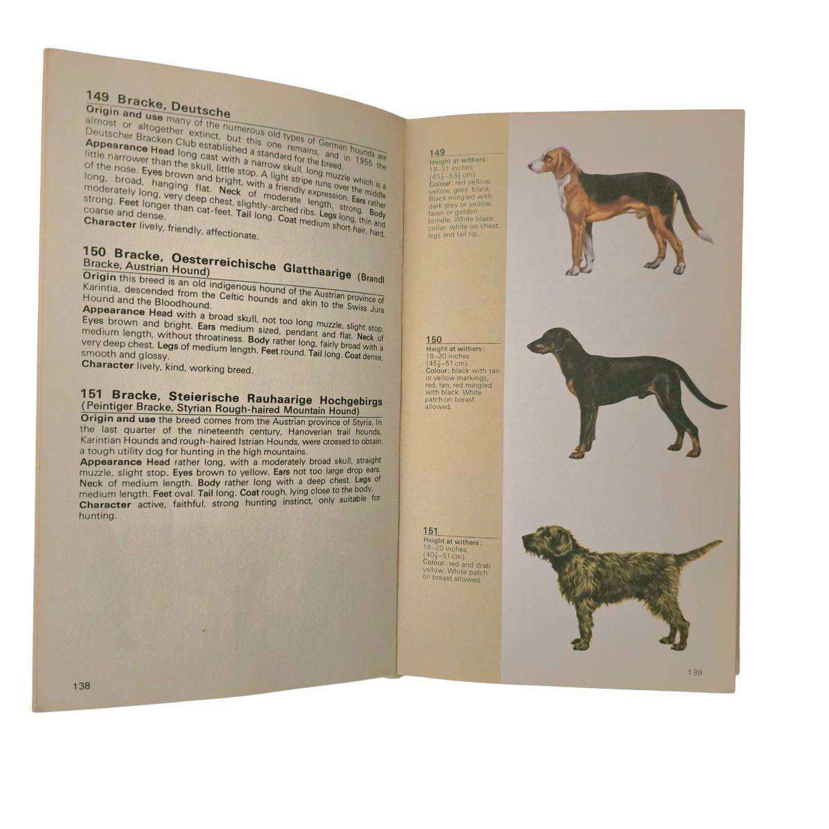 Guide to the dogs of the world - A Gondrexon