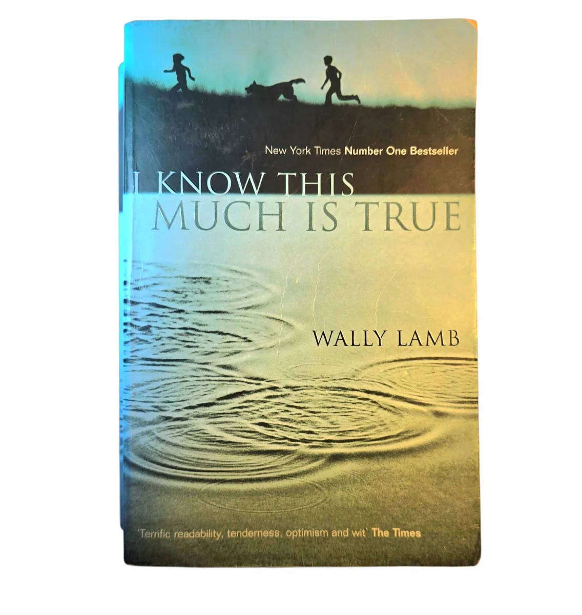 I know this much is true - Wally Lamb