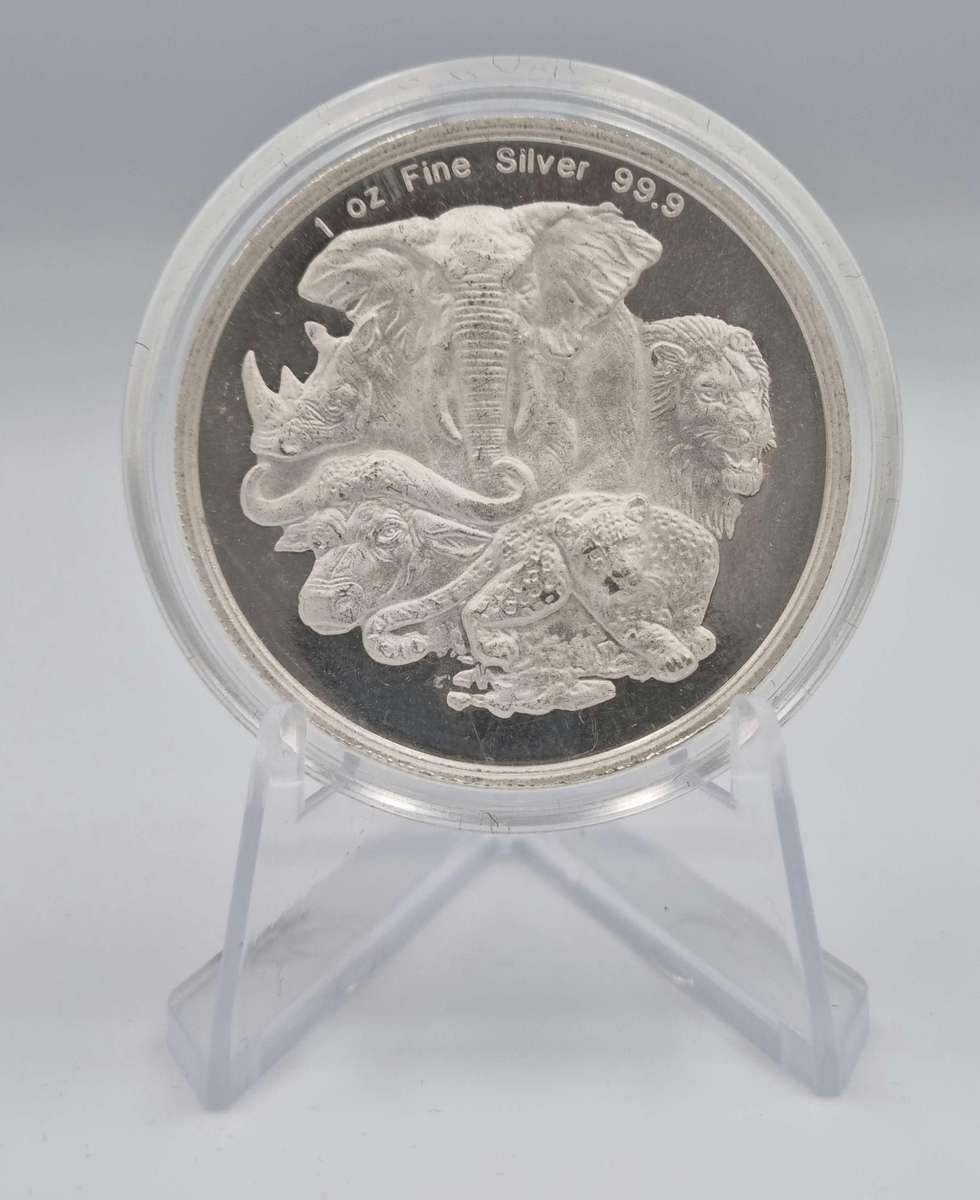 African Big 5 Rhino Silver coin