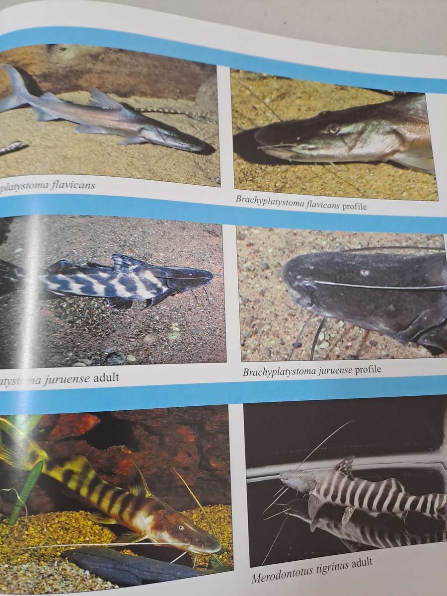 ENCYCLOPEDIA OF EXOTIC TROPICAL FISHES.  FOR FRESHWATER AQUARIUMS. By G Axelrod & B Scott