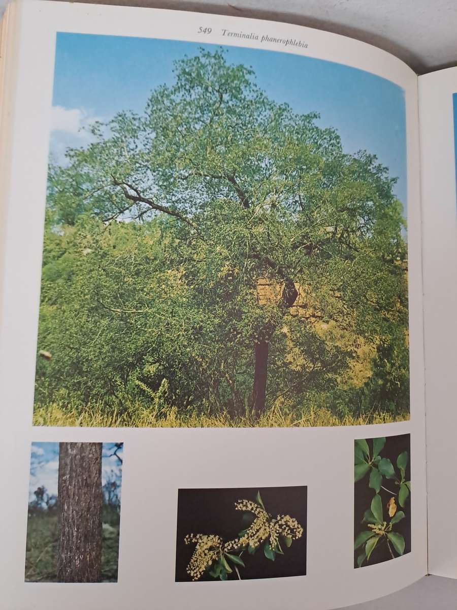 TREES OF THE KRUGER NATIONAL PARK.  2 volumes. By P Van Wyk.