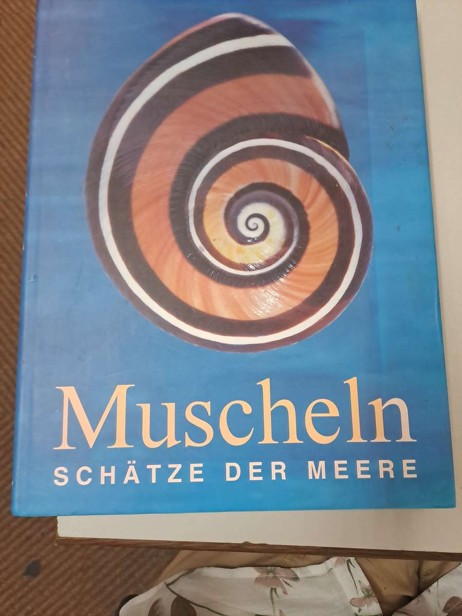MUSCHELN (SHELLS)  By S Meere