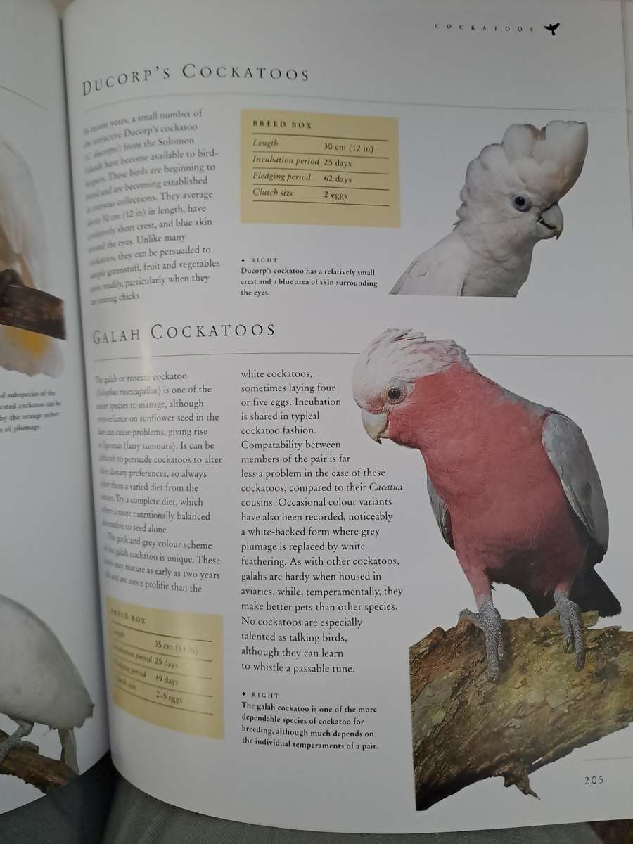 CAGED AND AVIARY BIRDS. By D Alderton