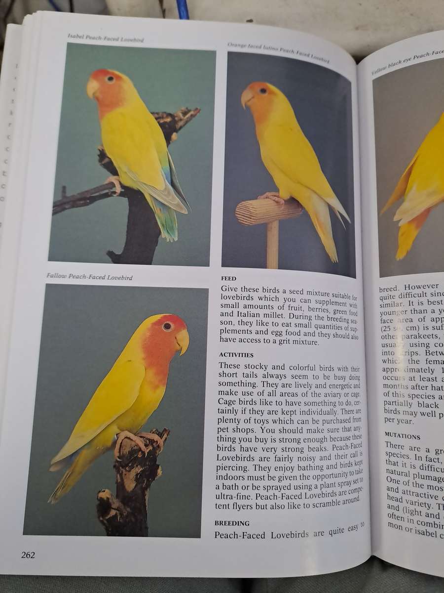 THE ENCYCLOPEDIA OF CAGE AND AVIARY BIRDS