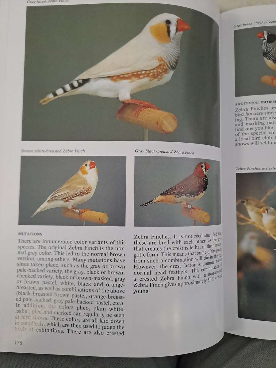 THE ENCYCLOPEDIA OF CAGE AND AVIARY BIRDS