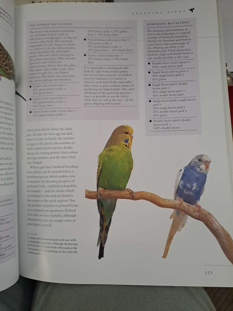 CAGED AND AVIARY BIRDS. By D Alderton