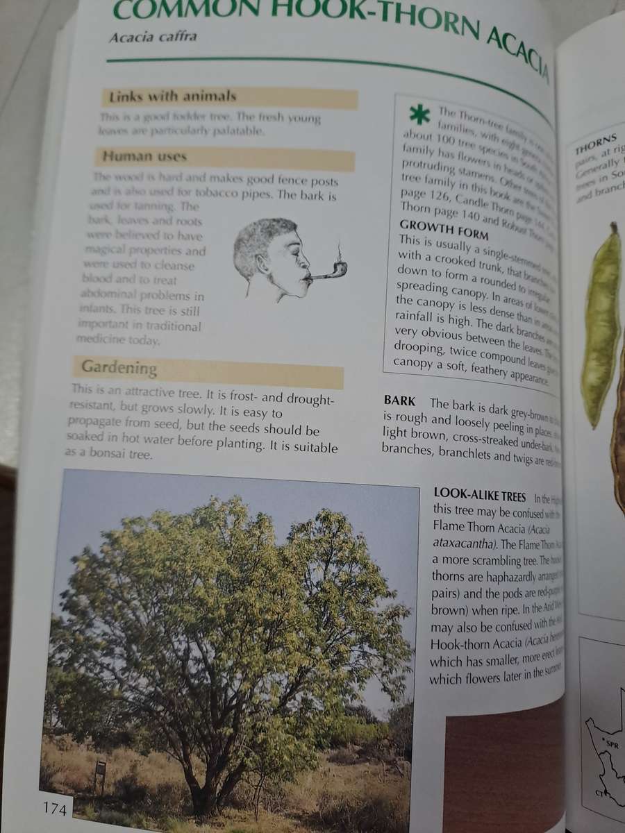 SAPPI TREE SPOTTING HIGHVELD AND THE DRAKENSBERG.