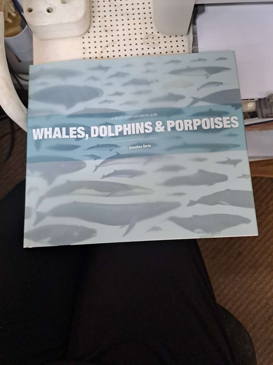 WHALES DOLPHINS & PORPOISES