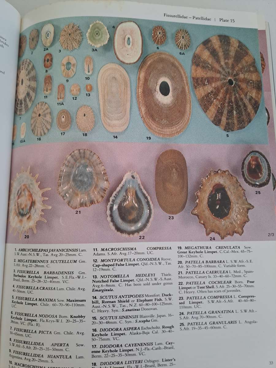 A COLLECTOR'S GUIDE TO SHELLS OF THE WORLD.  BY J Eisenberg