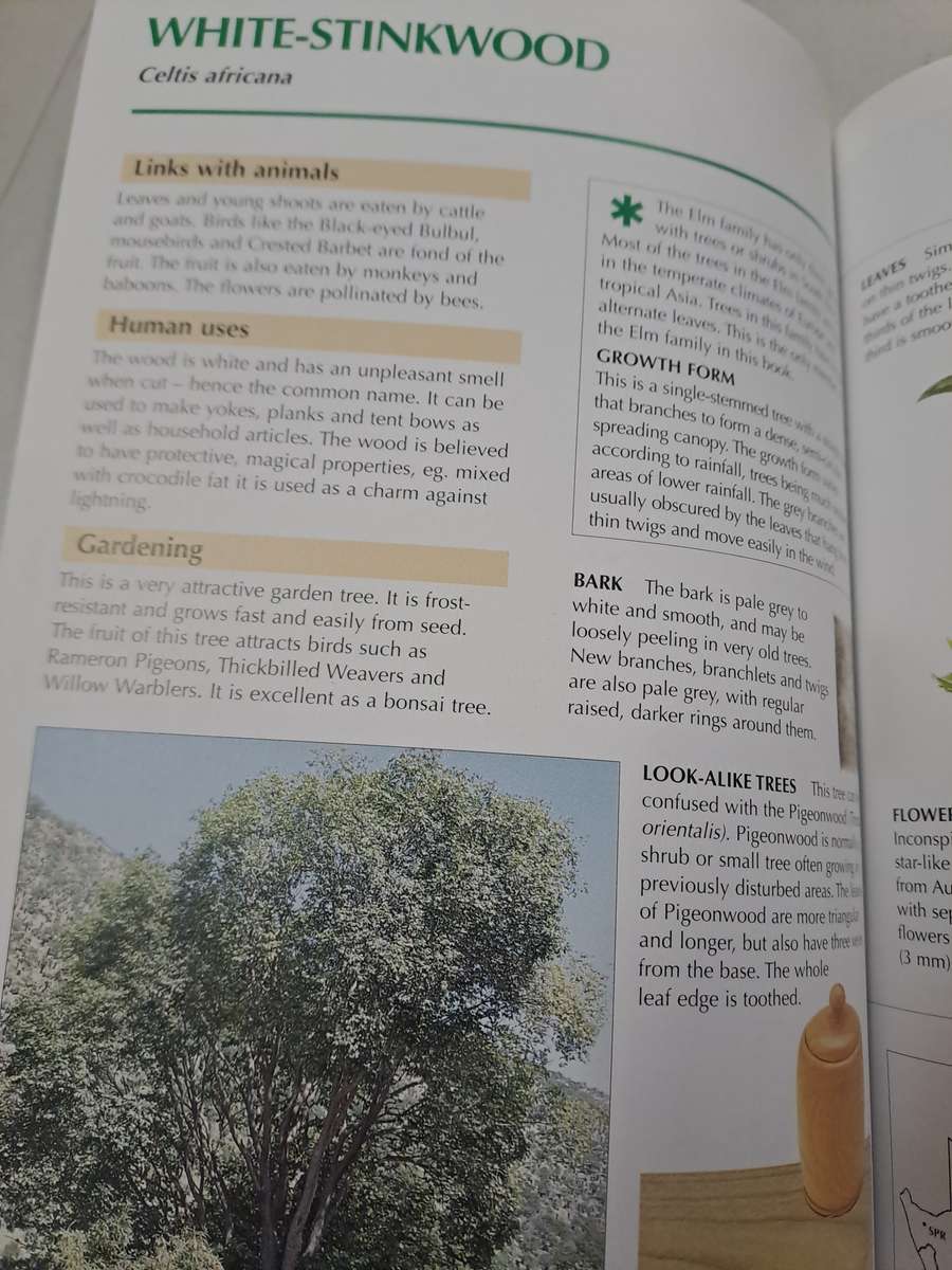 SAPPI TREE SPOTTING HIGHVELD AND THE DRAKENSBERG.