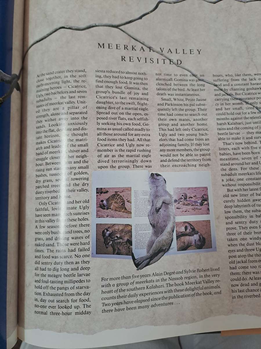 KALAHARI RIVERS OF SAND. By A Degre & Others