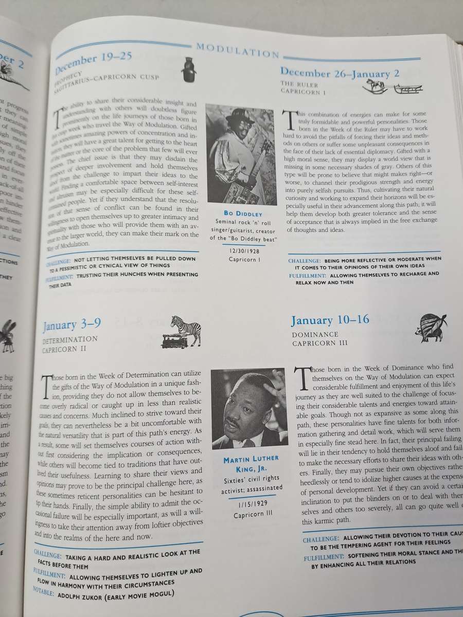 THE SECRET LANGUAGE OF DESTINY