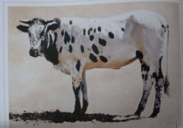 THE ABUNDANT HERDS. By M Poland and others