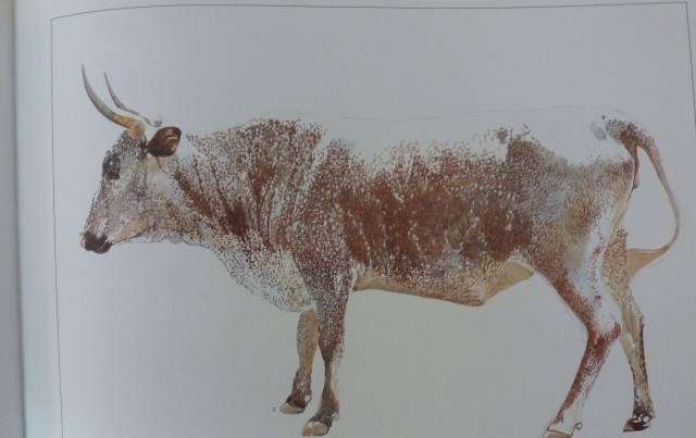 THE ABUNDANT HERDS. By M Poland and others