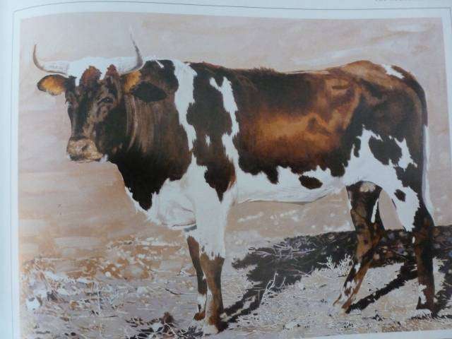 THE ABUNDANT HERDS. By M Poland and others