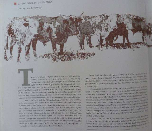 THE ABUNDANT HERDS. By M Poland and others