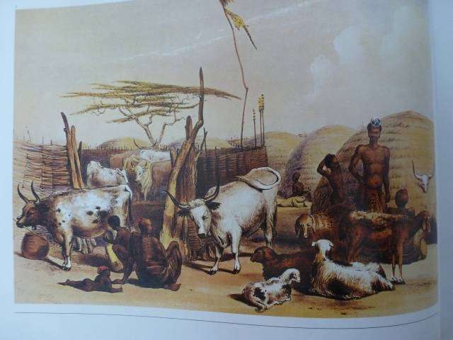 THE ABUNDANT HERDS. By M Poland and others