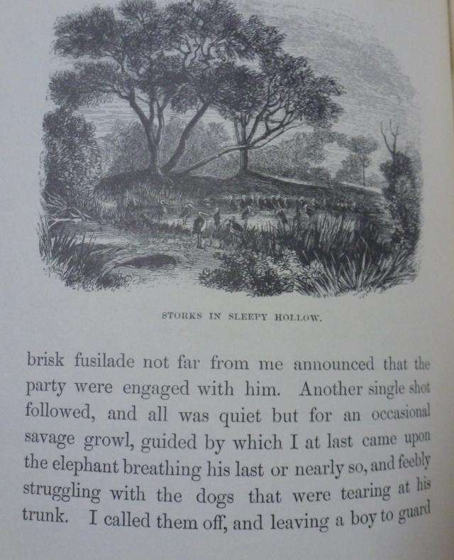 EXPLORATIONS IN SOUTH-WEST AFRICA By Thomas Baines  Limited edition