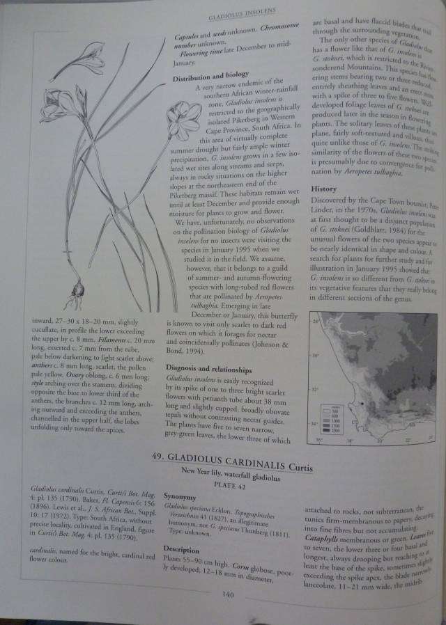 GLADIOLUS IN SOUTHERN AFRICA, By Peter Goldblatt & J Manning.