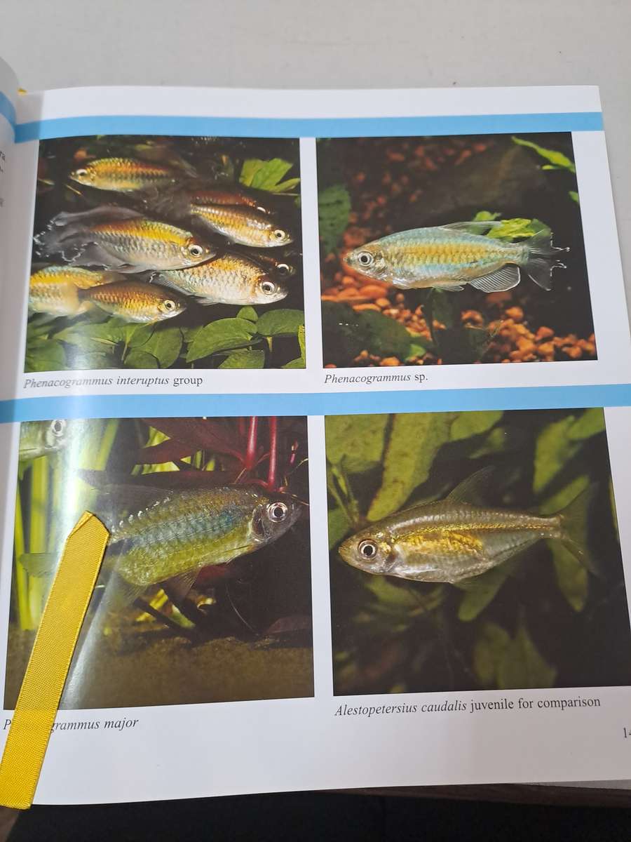 ENCYCLOPEDIA OF EXOTIC TROPICAL FISHES.  FOR FRESHWATER AQUARIUMS. By G Axelrod & B Scott