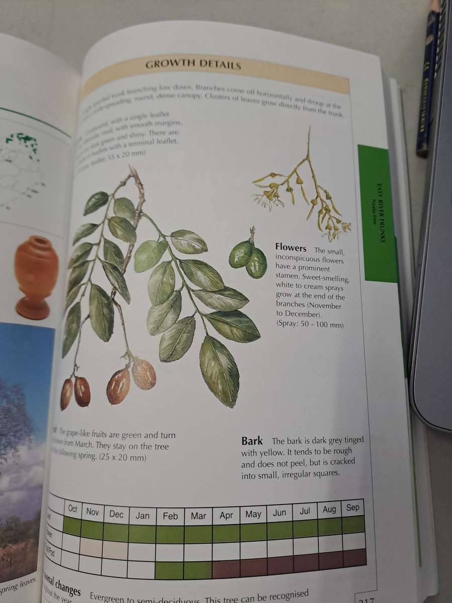 SAPPI TREE SPOTTING LOWVELD INCLUDING KRUGER NATIONAL PARK.