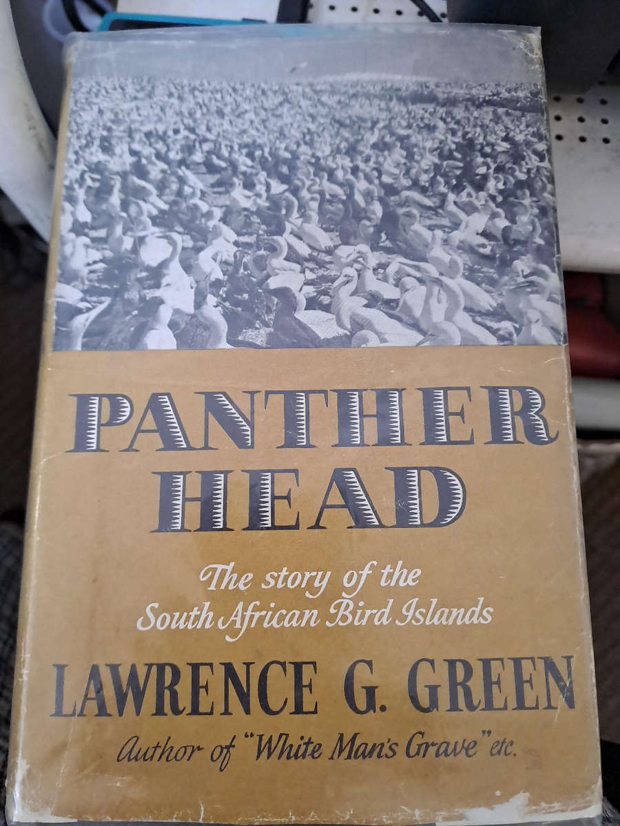 PANTHER HEAD By Lawrence Green
