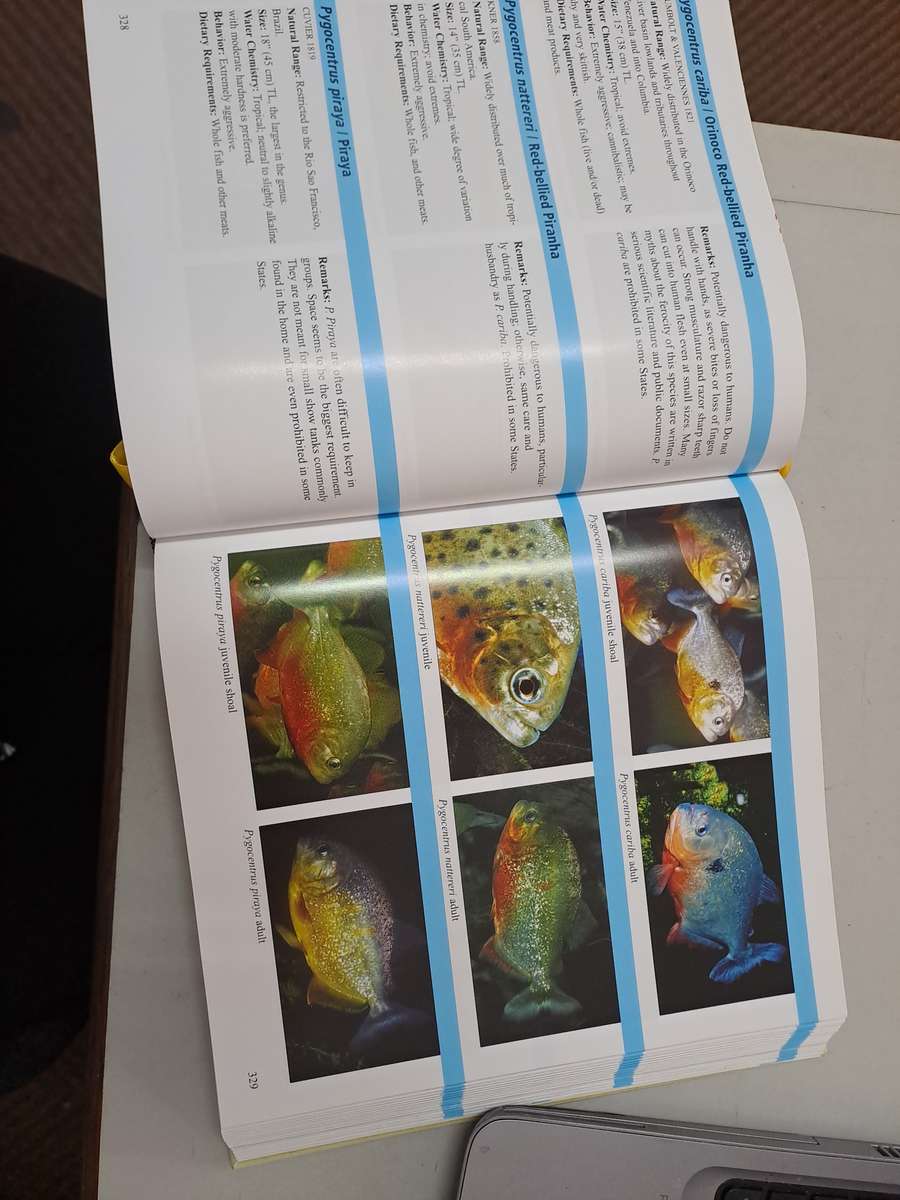 ENCYCLOPEDIA OF EXOTIC TROPICAL FISHES.  FOR FRESHWATER AQUARIUMS. By G Axelrod & B Scott