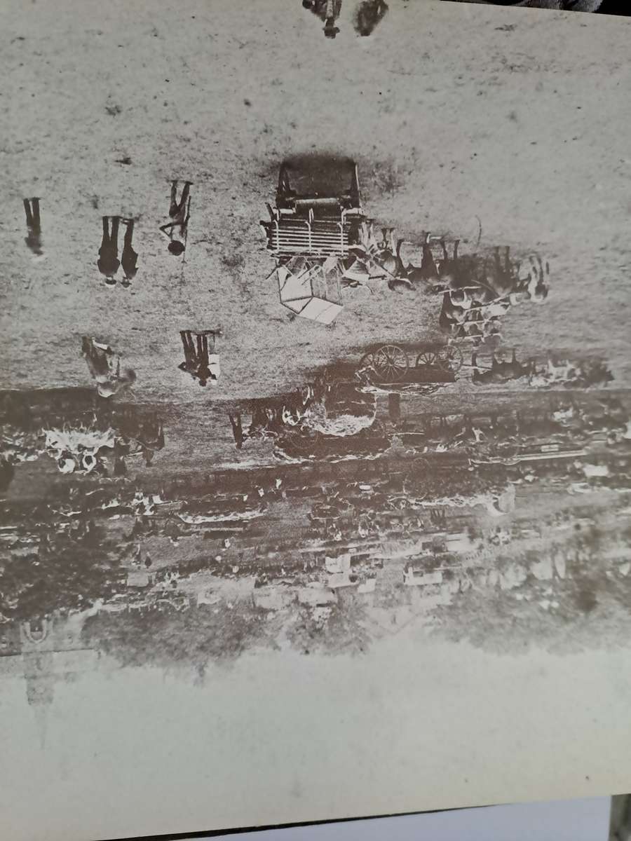 VICTORIAN & EDWARDIAN NATAL