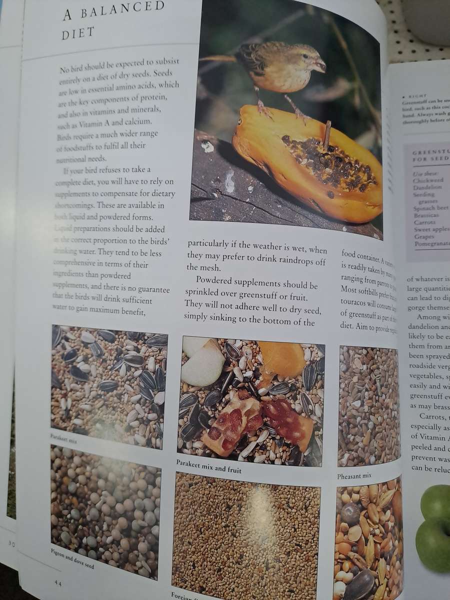 CAGED AND AVIARY BIRDS. By D Alderton