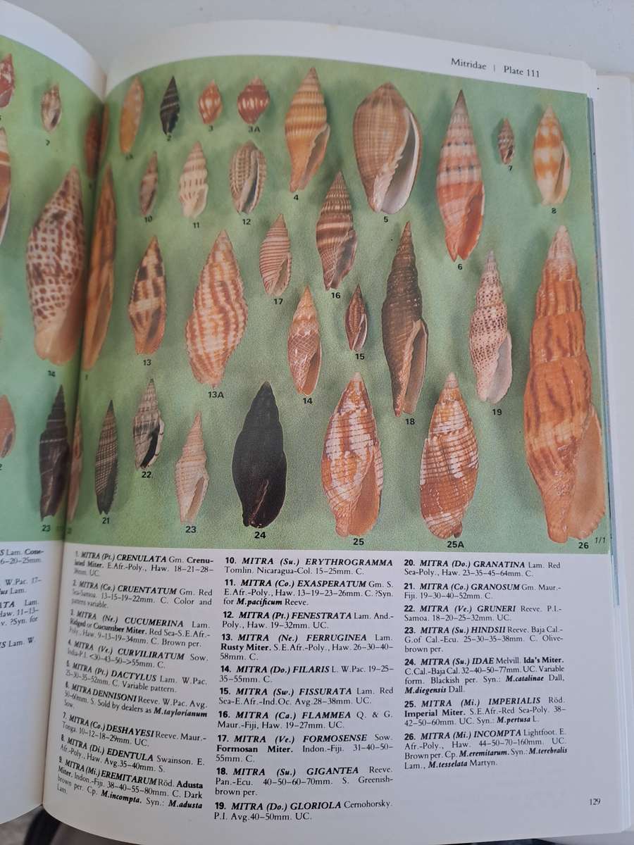 A COLLECTOR'S GUIDE TO SHELLS OF THE WORLD.  BY J Eisenberg