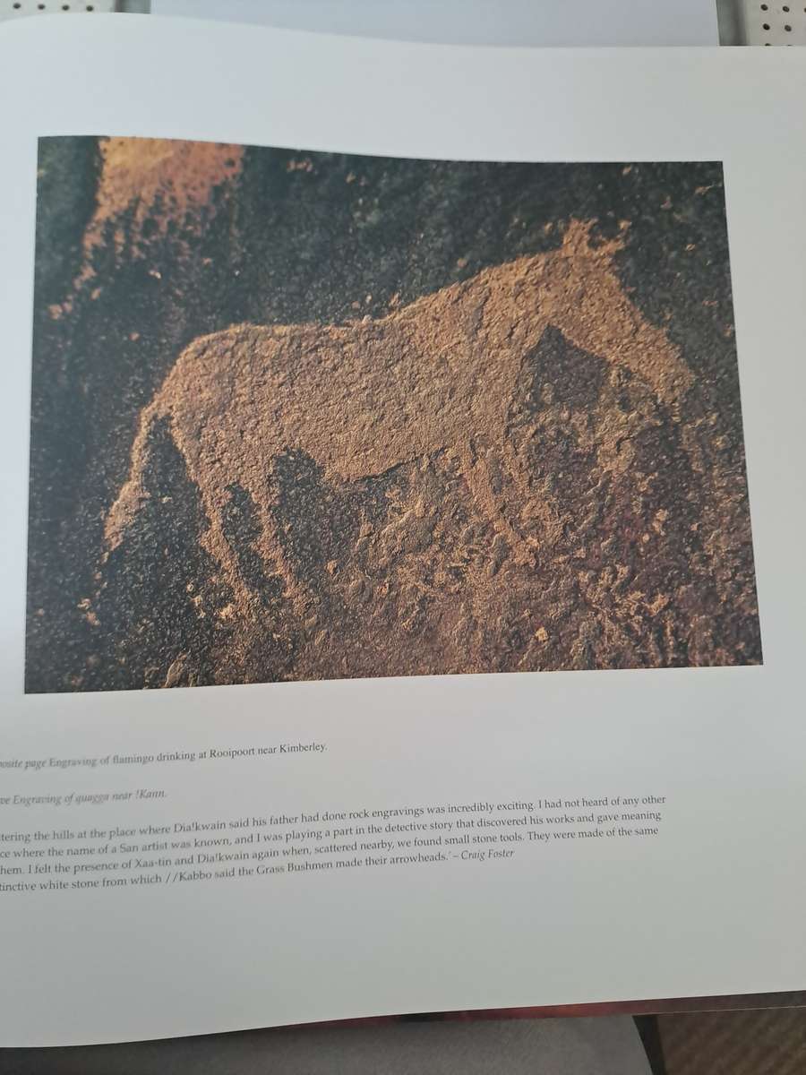 MY HEART SRANDS IN THE HILL By J Deacon & C Foster   (San Bushmen)